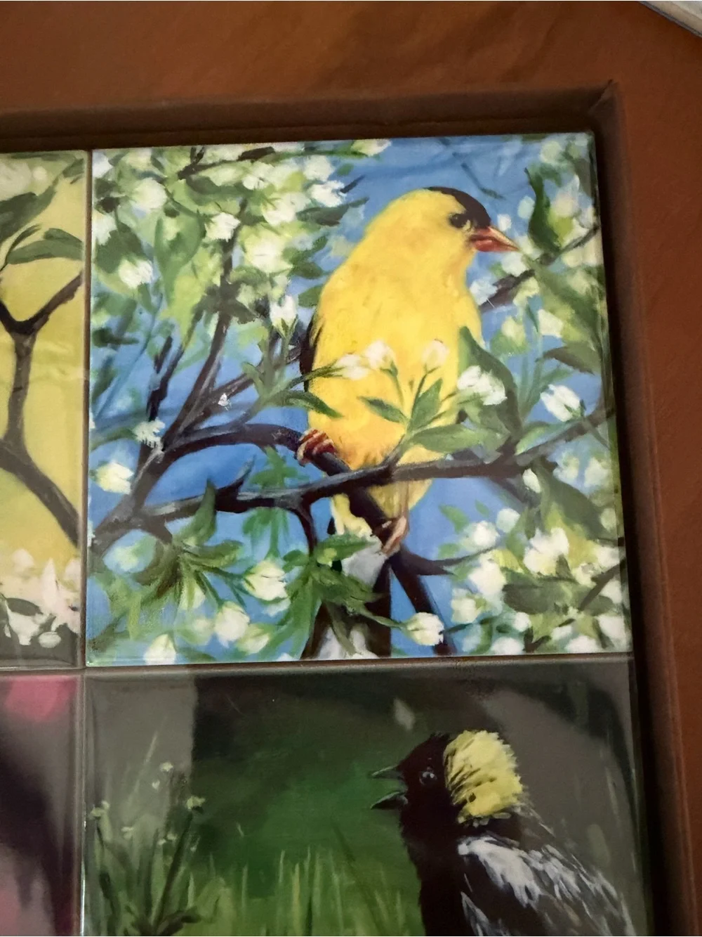 Art by Alyssa Orioles Coaster Set - NWT Box